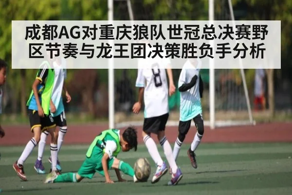 成都AG对重庆狼队世冠总决赛野区节奏与龙王团决策胜负手分析 - kaiyun